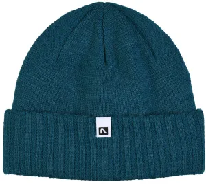 Flylow Forecaster Beanie 2023