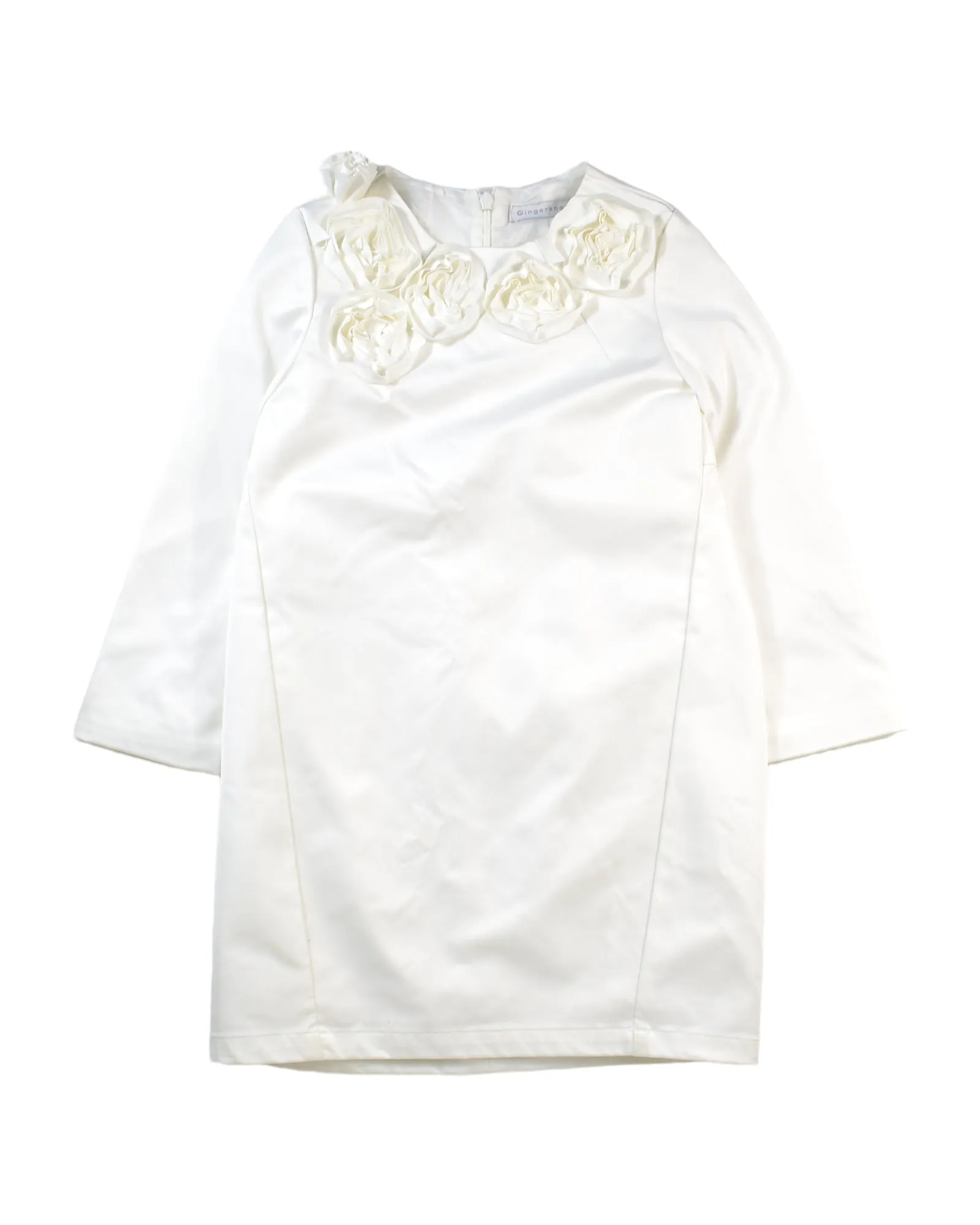 Gingersnaps Long Sleeve Dress 6T