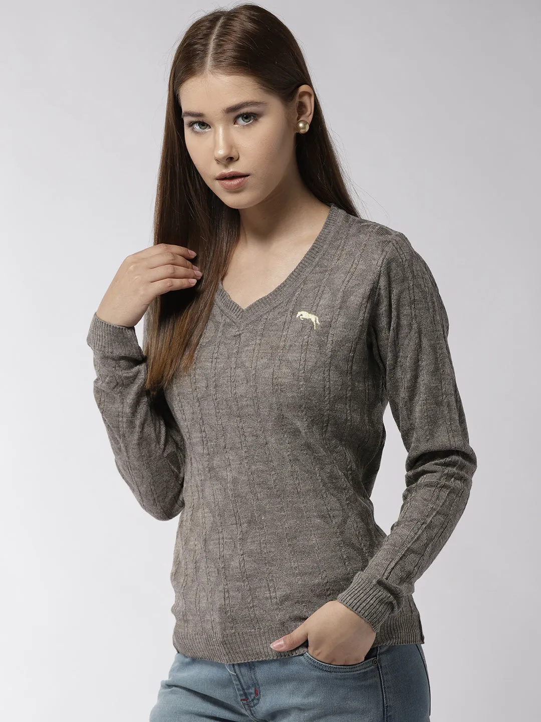 Women Self Design Beige Pullover