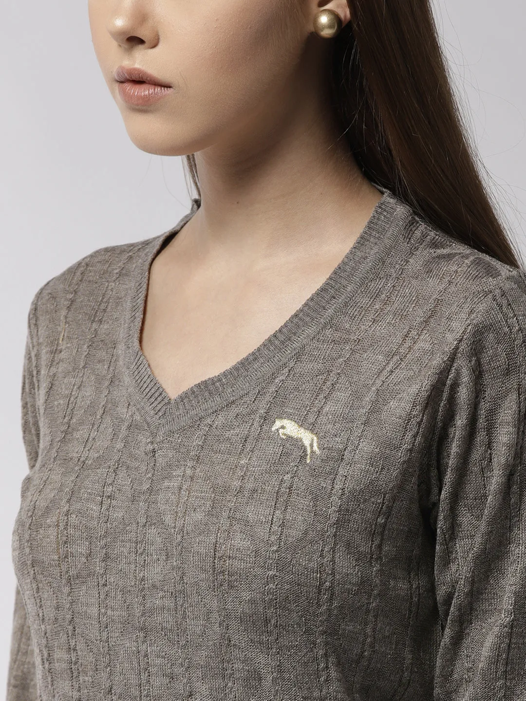 Women Self Design Beige Pullover
